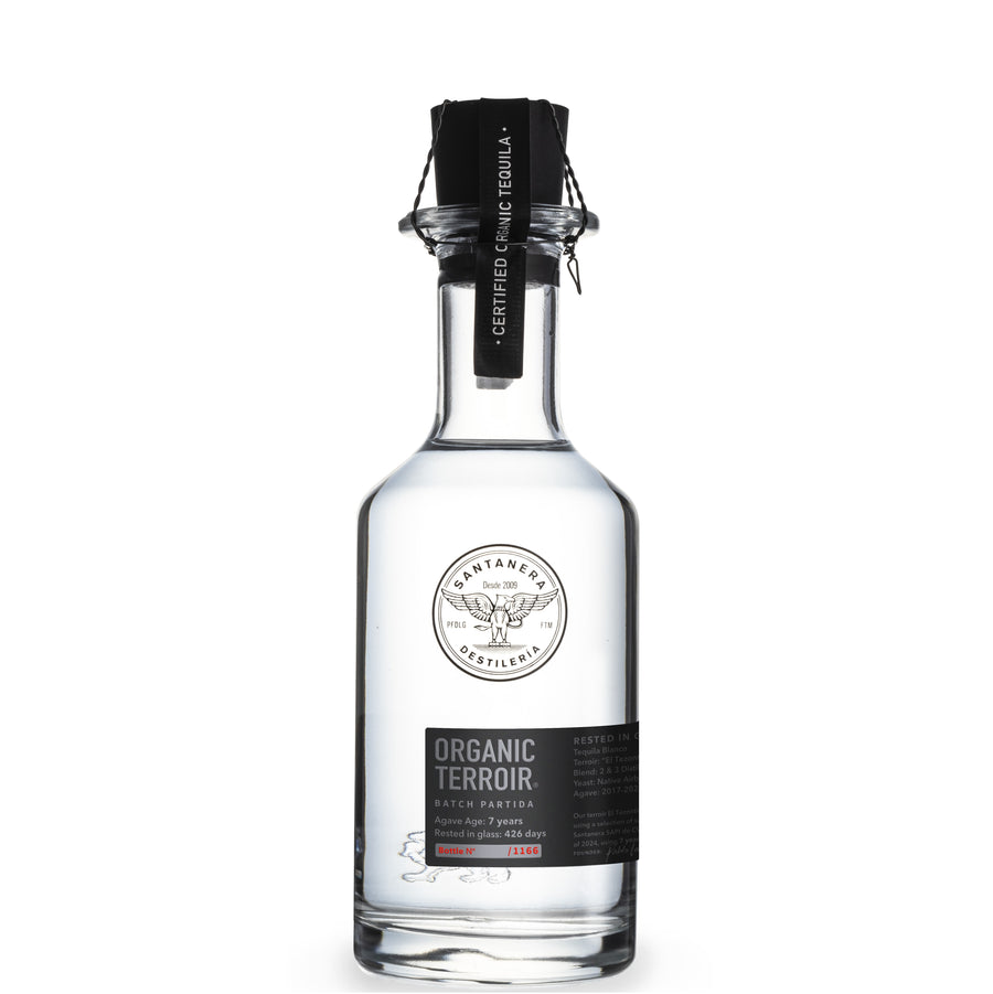 Santanera Blanco Partida at Perry's Palm Springs